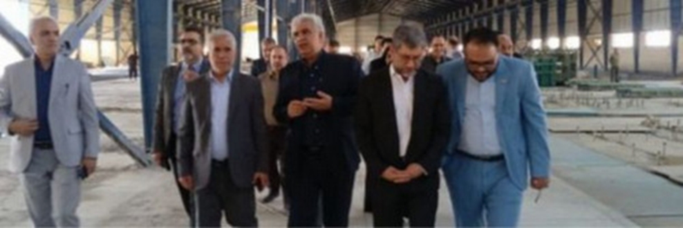 بازدید معاون وزیر صنعت، معدن تجارت از شهرک صنعتی زاهدان کامبوزیا